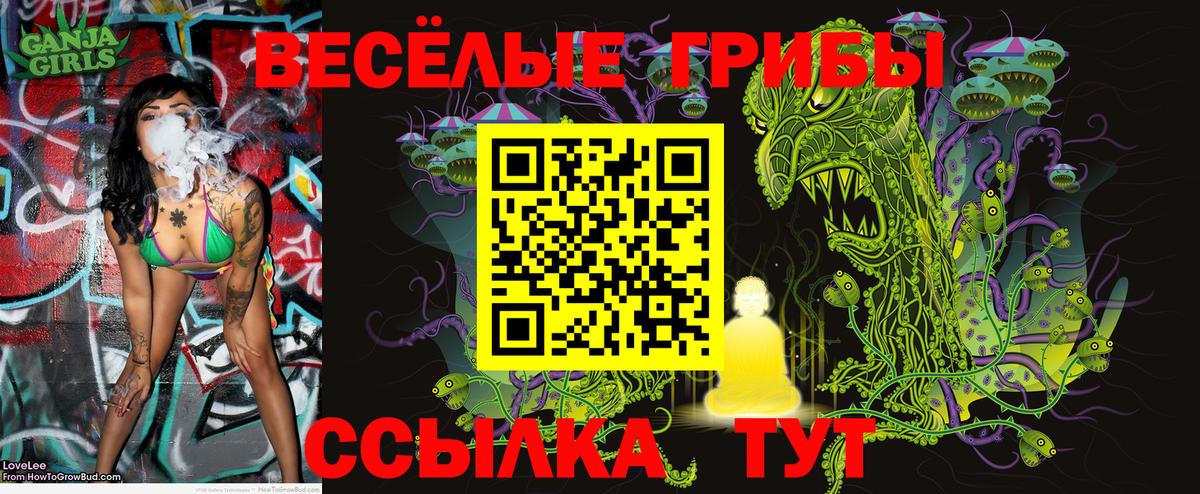 Псилоцибиновые грибы GOLDEN TEACHER  где купить наркоту  Железногорск  Вход с VPN  Псилоцибиновые грибы мухоморы 