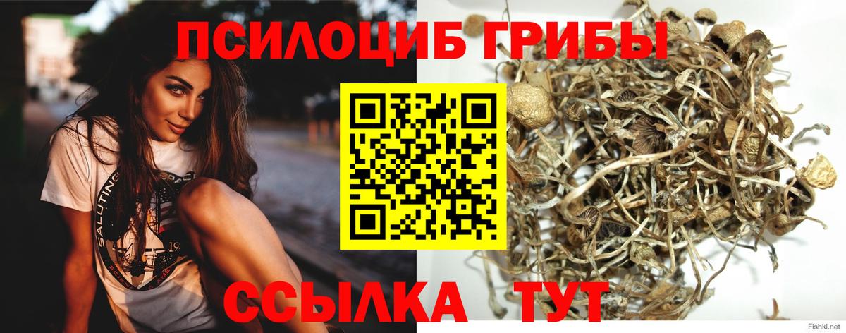 Псилоцибиновые грибы Magic Shrooms Железногорск